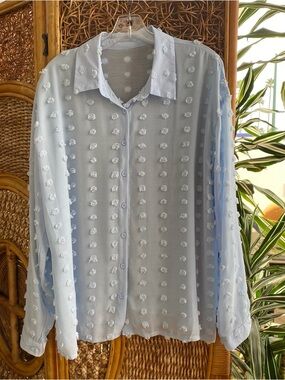 Light Blue Sheer Dot-Texture Button-Up Blouse